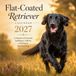 Flat-Coated Retriever Calendar 2027