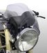 Puig Pare-brise Raptor Model voor CB600F HORNET 03'-04'