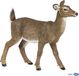 Papo Wild Life Witstaart Hinde 50218