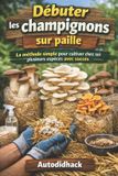 Débuter Bol Débuter les champignons sur paille