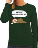 Bellatio Decorations Bol Luiaard Kerstsweater - Wake me up when christmas is over - groen - voor dames - Kerstkleding / Christmas outfit XXL