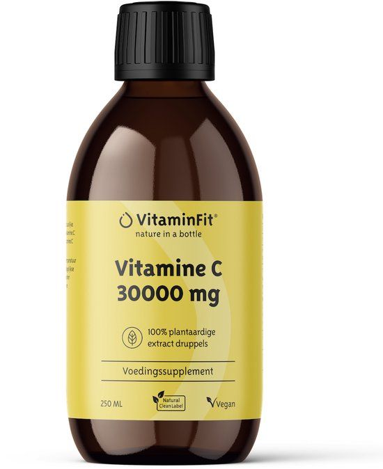 VitaminFit Natuurlijke Vitamine C Druppels 30.000 mg - 250 ml - 100% Natuurlijk & Plantaardig - Rozenbottel Extract