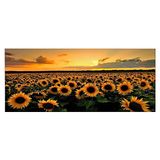 Homemania Afbeelding bloemen natuur en landschappen voor woonkamer, slaapkamer, meerkleurig, 70 x 3 x 100 cm, HM20KNV70 x 100 – 115, polyester, hout