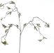 Erutan avon Corylus flower spray green 68 cm kunstbloem