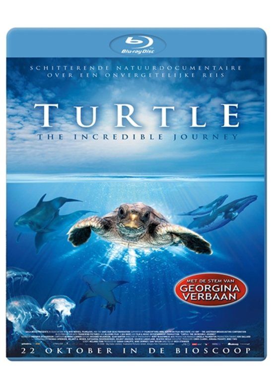 Turtle - The Incredible Journey - DVD