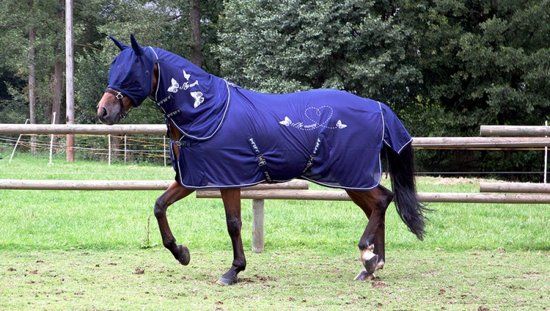 PFIFF vliegendeken met print 85 Blauw