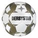 Derbystar Brillant APS v24