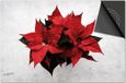Dietrix Inductie Beschermer - 59x52 - Kerstster Plant - Kookplaat Beschermer