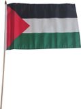 Merkloos / Sans marque Promex Gmbh Vlag Palestina handvlag op stok - 30 x 45 cm - Landen thema versiering - supporters themafeest