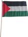 Merkloos / Sans marque Promex Gmbh Vlag Palestina handvlag op stok - 30 x 45 cm - Landen thema versiering - supporters themafeest