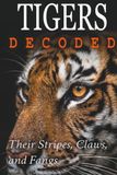 Tigers Decoded: Their Stripes, Claws, and Fangs