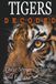 Tigers Decoded: Their Stripes, Claws, and Fangs