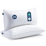BedStory Set van 2 kussens 40 x 80 cm met hoogwaardige microvezelvulling 950 g x 2, wasbaar en zacht, voor bank, bed, zijpositionering