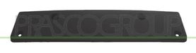 PRASCO Kennzeichenhalter VG0941539 vorne | Compatibel met: VW SCIROCCO III