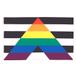 AZ FLAG Vlag Gay Straight Alliance 90x60 cm Polyester 100D 2 Ringen