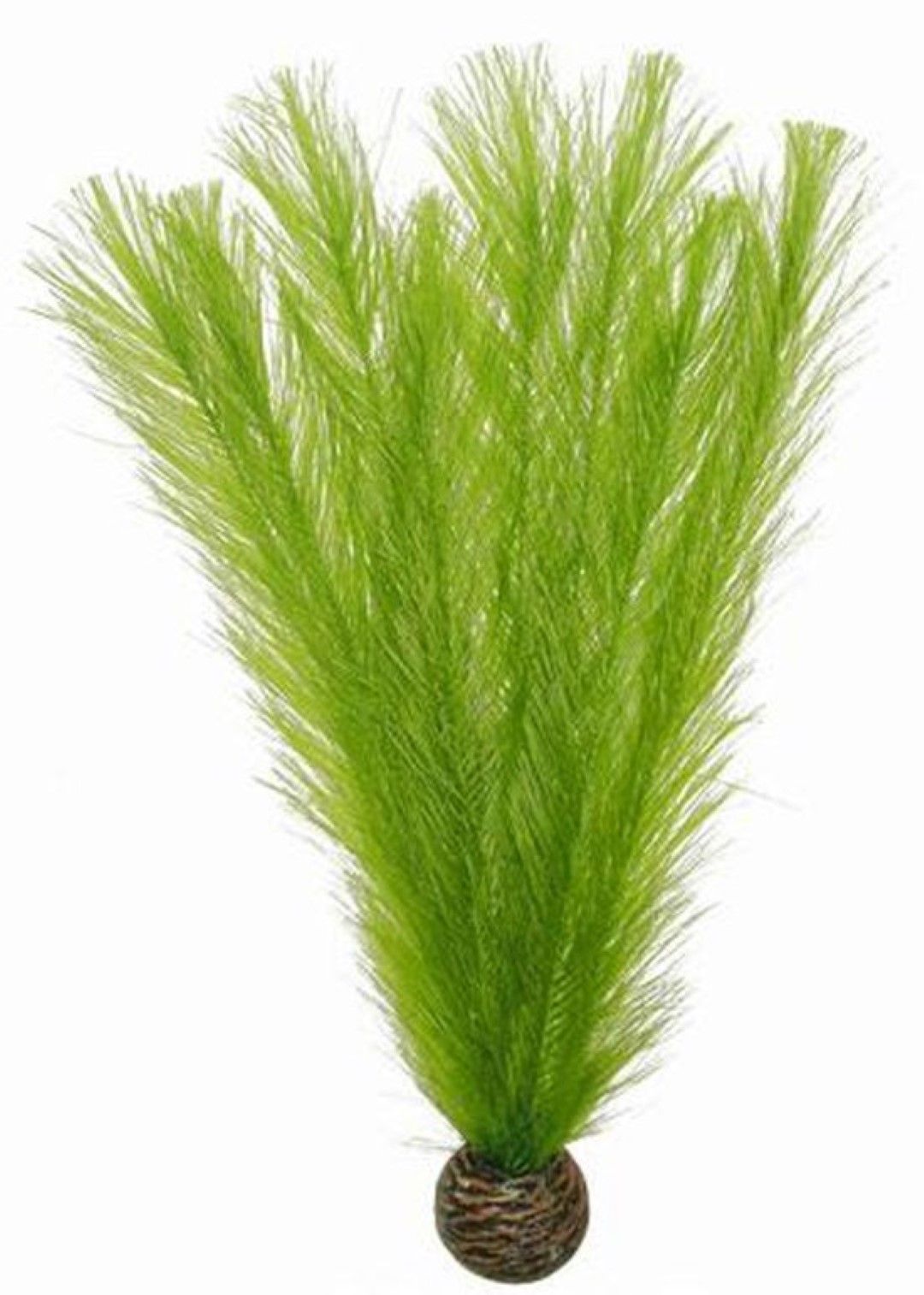 SuperFish Zijde plantje 30 cm III
