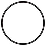 SERA O-ring 62 mm voor UV-C-systeem, 5 W