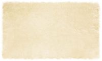 vidaXL - Imitatie schapenvacht vloerkleed TAFALLA crèmekleurig polyester 100 x 200 cm
