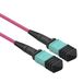 Value MPO Trunk Kabel 50/125µm OM4, MPO/MPO, violet, 5 m