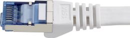 Renkforce RF-4149852 RJ45 Netwerkkabel, patchkabel CAT 6A U/FTP 15.00 m Grijs