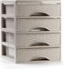 PLASTICFORTE Ladeblokje/bureau organizer met 4x lades - beige - L18 x B21 x H23 cm