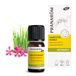 Pranarom Synergies diffuser voor zomeravonden, biologisch, 10 ml