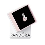 Pandora Bedel voor Dames Sterling Zilver 925 793766C01