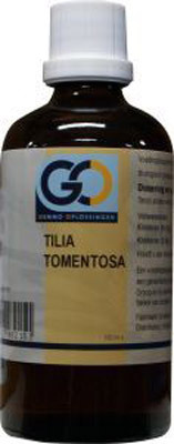 Go Tilia Tomentosa