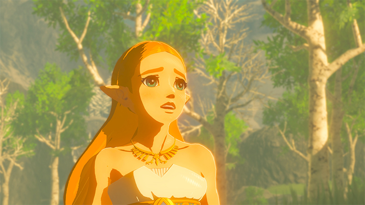 Nintendo The Legend of Zelda: Breath of the Wild Switch Nintendo Switch
