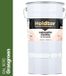 Holdbar Anti Graffiti Coating Grasgroen (RAL 6010) 5 Kg