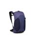 Osprey Hikelite LT 16 Hiking Backpack Botswana Purple