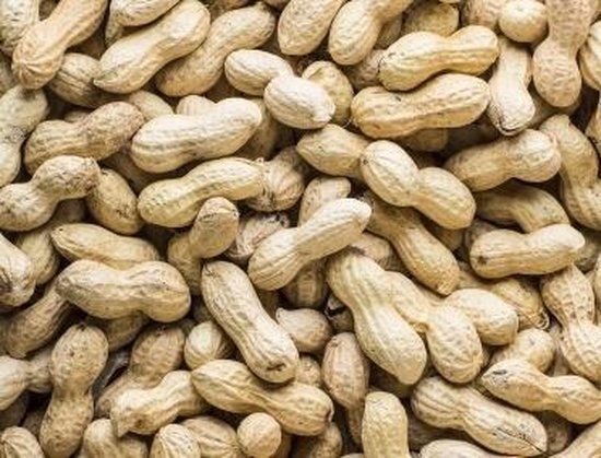 Doppinda's - Pinda's in de dop - 10KG