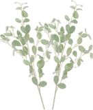 DK Design Fleur artificielle Eucalyptus branche Real Touch - 2x - 90 cm - vert clair