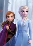 Komar Frozen Sisters in the Wood - Afmetingen: 50 x 70 cm, muurschildering, poster, kunstdruk (zonder lijst), Disney