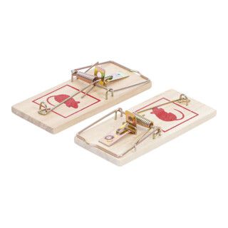 BGS Do it yourself muizenvallen - 2 delig - 1 stuk