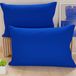 PETTI Artigiani Italiani - Paar kussenslopen 50 x 70 cm van microvezel, decoratief kussen voor slaapkamer bank set van 2 kussenslopen, effen, blauw, 100% Made in Italy