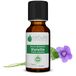 Absolute Viooltjesolie (Viola odorata) 5 ml