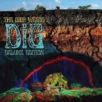 Grip Weeds - Dig (LP)