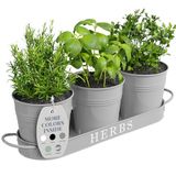 Barnyard Designs Kruidentuin plantenbakset voor binnen met dienblad, metalen vensterbank, plantenpotten met afwatering voor buiten- of binnenplanten, set van 3 (koel grijs)