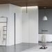 FortiFura Galeria inloopdouche - 160x200cm - helder glas - geborsteld gunmetal