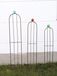 Edelroest Trellis with Glass Sphere for Climbing Plants