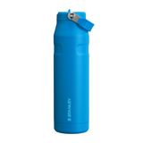 Stanley 1913 Flip Straw Tumbler Waterfles Met Rietje 0.89L - Azure