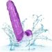CalExotics Queen Size Dong 6 Inch Dildo Paars