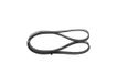 BOSCH Keilrippenriemen 1987946069