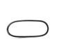 DAYCO 10A0725C riem