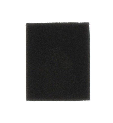 GreenStar Luchtfilter voor Robin 30968