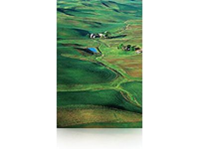 Epson Premium Semigloss Photo Paper, 60\" x 30,5 m, 250g/m²