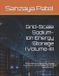 Grid-Scale Libri GmbH Next-Generation Energy Storage Engineering- Grid-Scale Sodium-Ion Energy Storage (Volume-III) Paperback