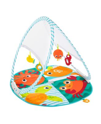 Fisher-Price FXC15 - Babyspeelgym - multi