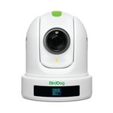 BirdDog P110 PTZ Camera 1080P with 10x Zoom, OLED screen